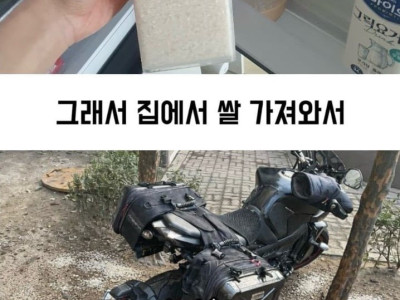 아파트 화단에 주차한 오토바이의 최후.jpg