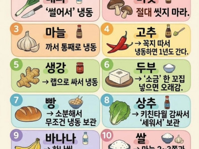 식재료 보관 꿀팁
