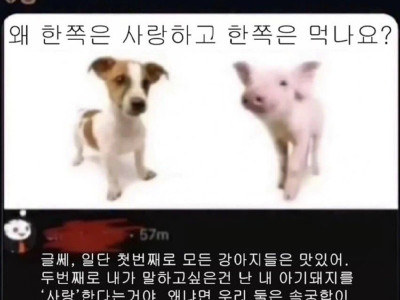 왜 한쪽은 사랑하고 한쪽은 먹나요?