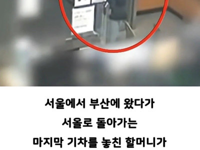 강추위에 70대 할머니 내쫓은 부산경찰