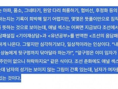 19) 조선시대 여자들도 즐겼던 애널 야스