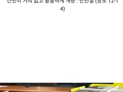 딸기 품종 개량 현황