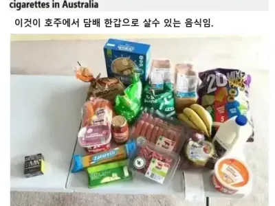 호주에서 담배 한갑으로 살수있는 음식