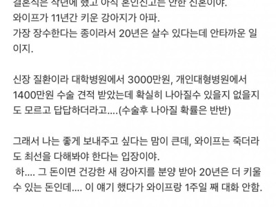 강아지 수술비 1400만원으로 이혼 직전이야...