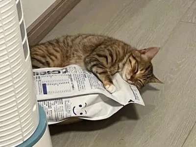 오늘 면접 합격 발표났따