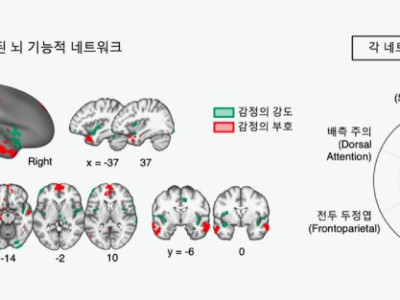 혐오가 주는 쾌락은 뇌의 착각이다