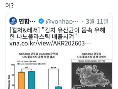 김치의 미친 효능 근황