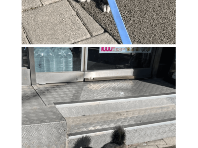 편의점에서 고구마 판다는 걸 알게된 댕댕이