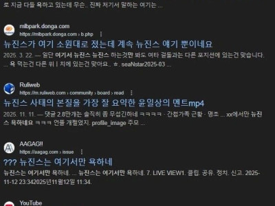뉴진스는 여기서만 욕하네