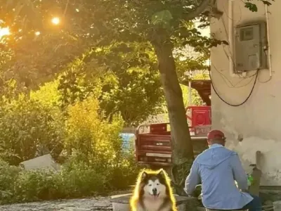 요즘 레딧에서 핫한  사진 한 장.jpg