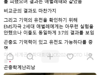 일본 초등학생 곤충학자
