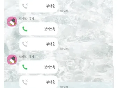 고양이 파양할까 고민하는 여자