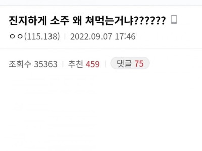 진지하게 소주 왜 쳐먹는거냐??????