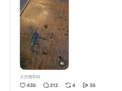 냉혹한 sns 홍보의 세계