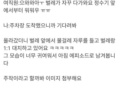 출근 중에 직원에게 문자 받은 팀장님