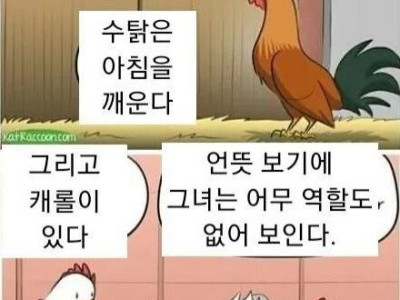 닭들이 신비감을 느끼는 만화