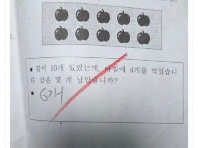 많은 어른들이 틀렸다는 초등학교 어린이 문제.jpg