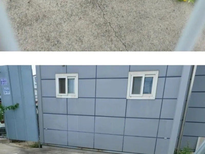 정화조에서 참외가 자랍니다.jpg