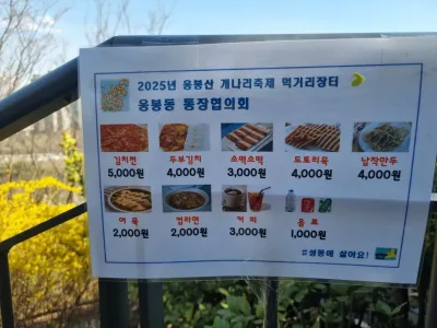 논란 안되는 개나리 축제 수준