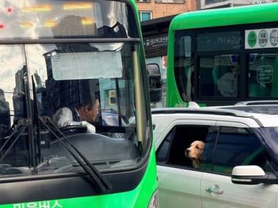 한국적이고 가슴이 따뜻해지는 짤