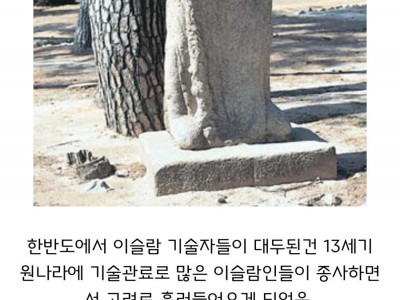 조선시대에 이슬람 교도들이 전멸한 이유