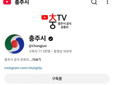 충주시 유튜브 구독자수 넘어버린 김선태