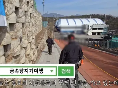 동네 산책로에서 주을수 있는 것들