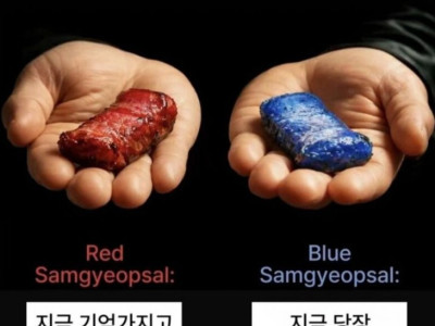 의외로 50:50으로 갈린다는 선택