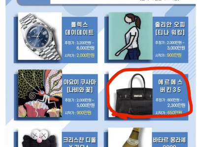 국세청 압류품 경매, 에르메스 가방 낙찰가 ㄷㄷㄷ