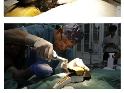 납치 돼서 눈떠보니 이상한거 달아줌