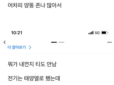 뉴질랜드 대자연 목장에서 알바했던 썰