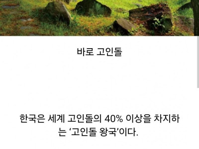 한국이 전세계 40%를 가지고 있는 문화유산