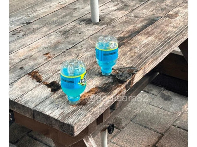 편돌이 업무 난이도 근황