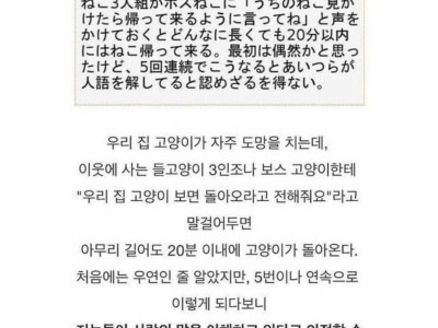 실제로 고양이와 대화했던 썰.jpg