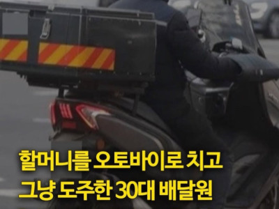 할머니 치고 도주한 배달기사 진술