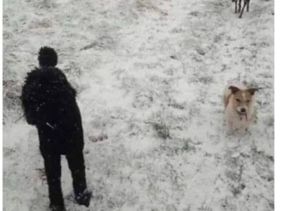 이거 찾는다고 눈 빠볐六; ㅎㅎ