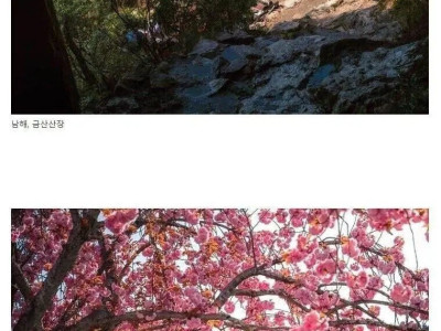 이봐 한국인들 너희 나라 너무 멋지다