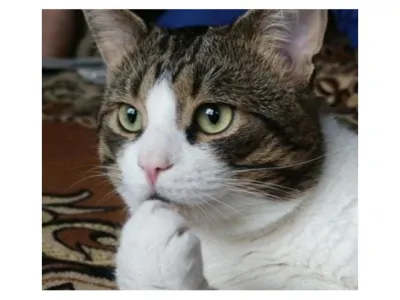 식당 예약 6분전 취소한 손님