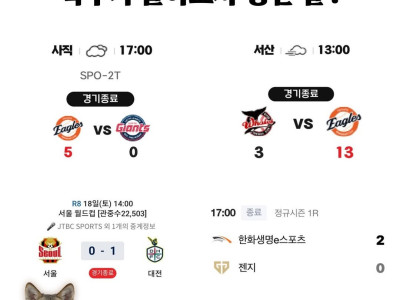 늑구가 집에오자마자 생긴일