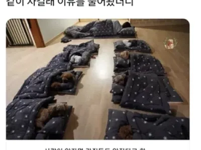 유치원 선생님이 아이들과 같이 낮잠을 자는 이유.JPG