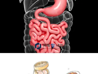 마운자로 위고비 맞는 사람들의 진짜 신기한 공통된 후기