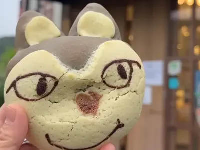 '빵의 도시' 대전 늑구빵 가격 근황