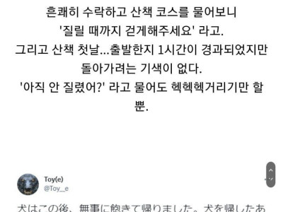 코로나로 지인의 개를 대신 산책시켜 준 썰