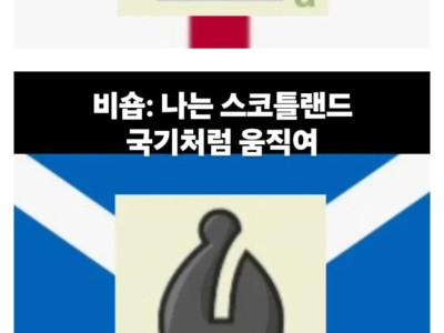 국기로 외우는 체스 말 동선.jpg