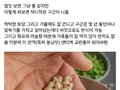 한국인에게 잘못 걸린 생태계 교란종