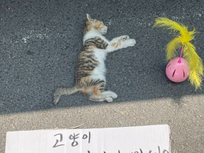 잘때는 만지지 마세요