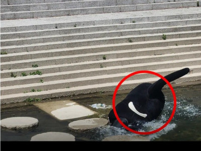 의욕만 앞섰던 일본 마스코트 대참사