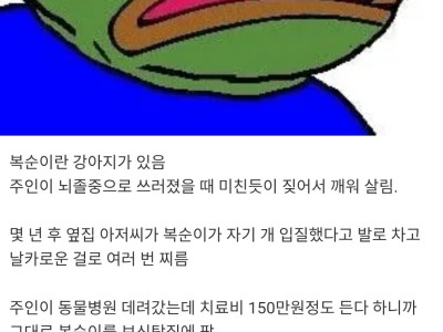 펌) 어제 보고 너무 충격받았던 사건