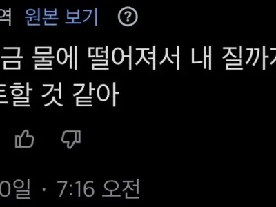 트위터 자동 번역 대참사