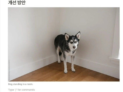 트위터 유저가 아직도 후회하는 일